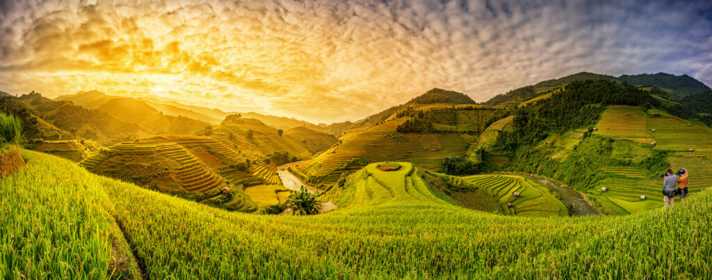 Grune-Reisfelder-auf-Terrassen-in-Muchangchai-Vietnam