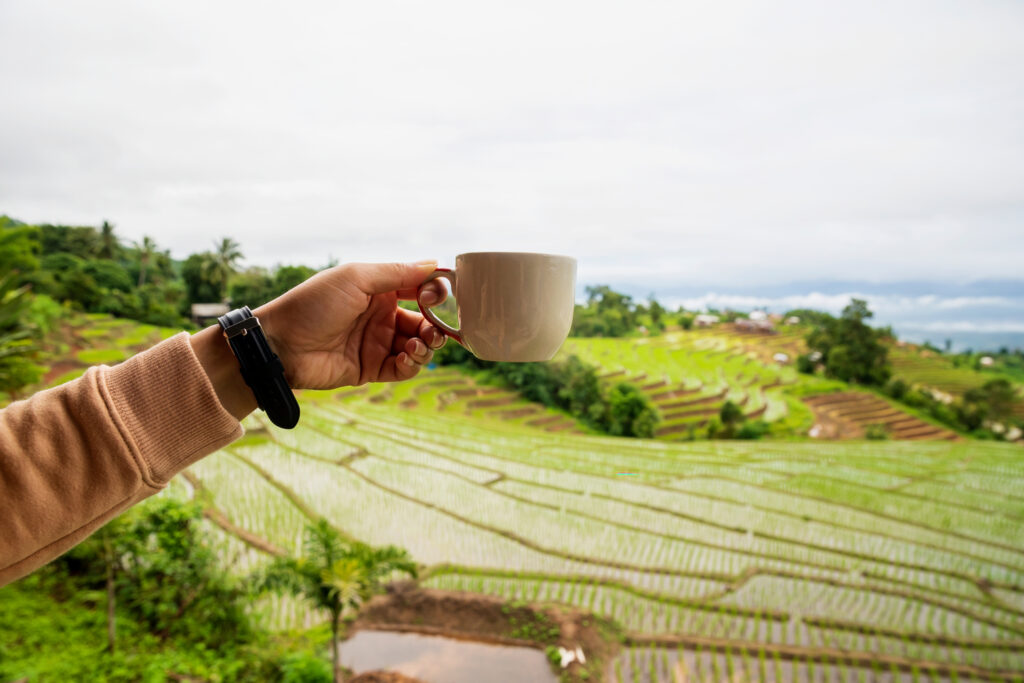 Heiser-Kaffee-mit-Blick-auf-die-Reisterrasse