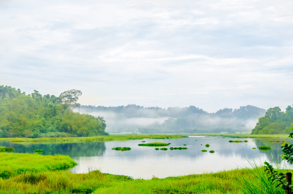 Krokodilsee-im-Dschungel-des-Cat-Tien-Nationalparks-in-Vietnam