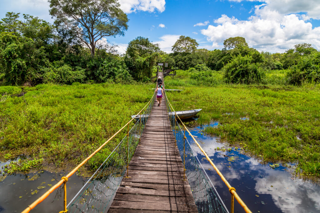 Pantanal in Brasilien