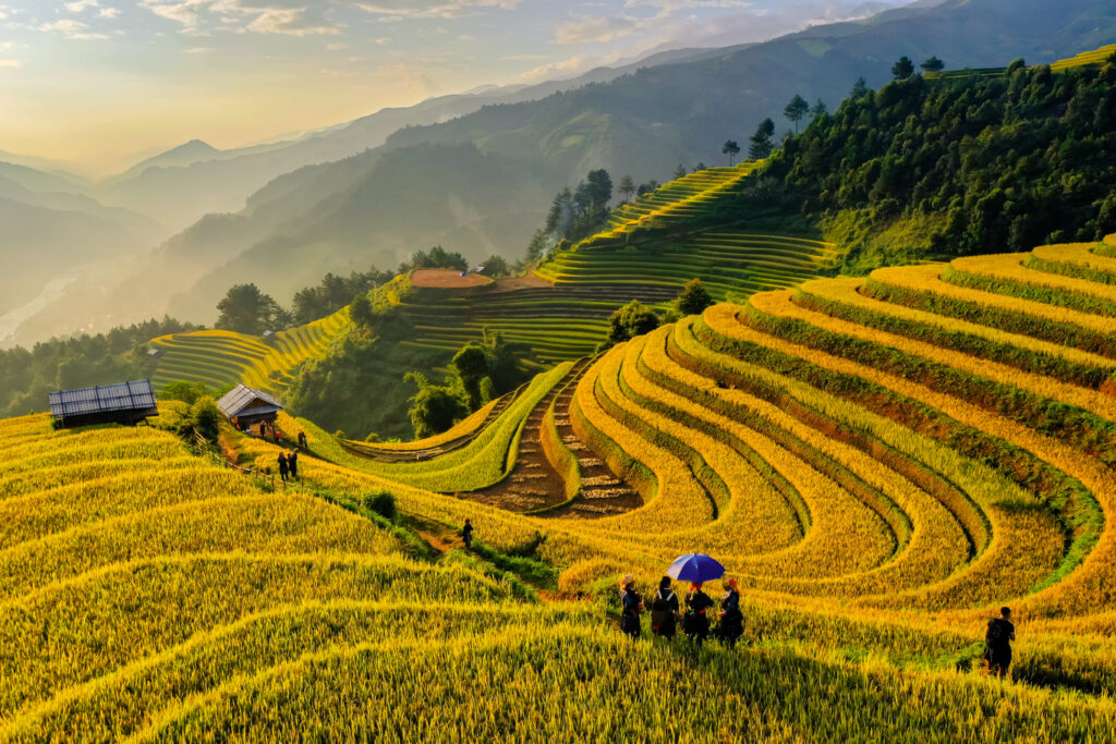 Reisterrassen-Mu-Cang-Chai-Yen-Bai