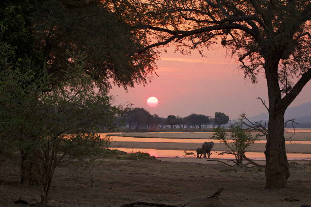 Sonnenuntergang-im-Mana-Pools-National-Park-Simbabwe