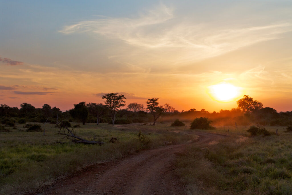 Sonnenuntergang über der Savanne des South Luangwa National Park,