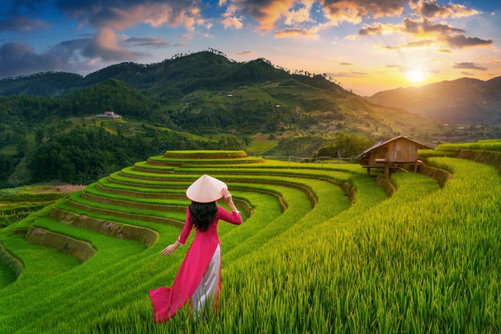 Traditionell-in-der-Reisterrasse-in-Mu-cang-chai-Vietnam