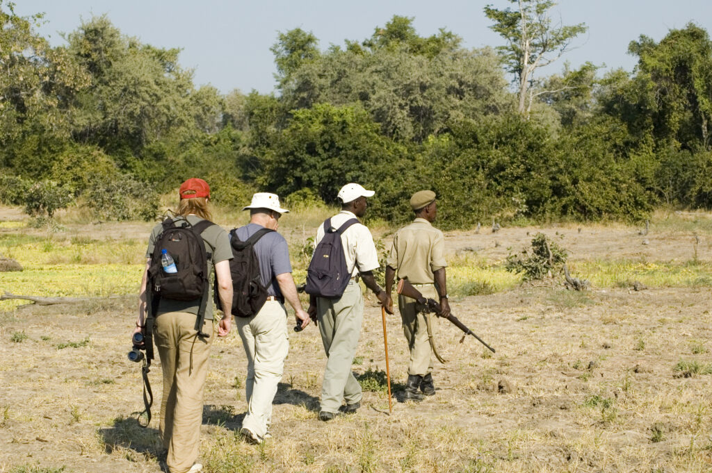 Wandersafari-im-Sud-Luangwa-Nationalpark-